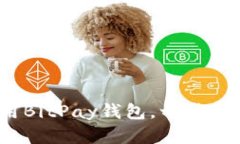 全面指南：如何下载和使用BitPay钱包，一步步引