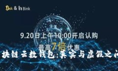  揭秘区块链云数钱包：真实与虚假之间的界限