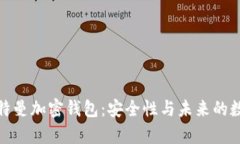 探索硅谷奥特曼加密钱包：安全性与未来的数字
