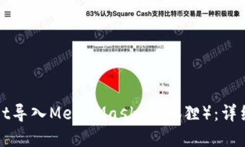 : 如何将TPWallet导入MetaMask（小狐狸）：详细指南与实用技巧