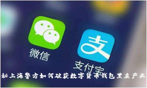 揭秘上海警方如何破获数字货币钱包黑灰产业链