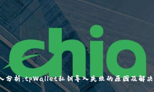  深入分析：tpWallet私钥导入失败的原因及解决方案