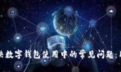 如何解决数字钱包使用中的常见问题：用户指南