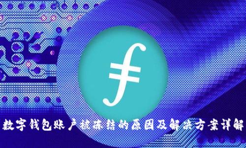 数字钱包账户被冻结的原因及解决方案详解