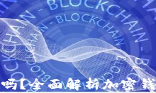 
推特推出加密钱包安全吗？全面解析加密钱包的安全性及使用经验