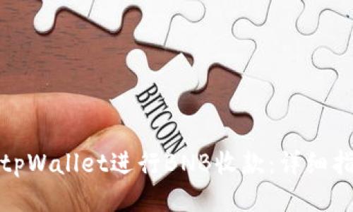 如何使用tpWallet进行BNB收款：详细指南与技巧