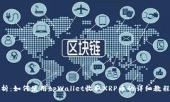 全面解析：如何使用tpWallet收取XRP币的详细教程与