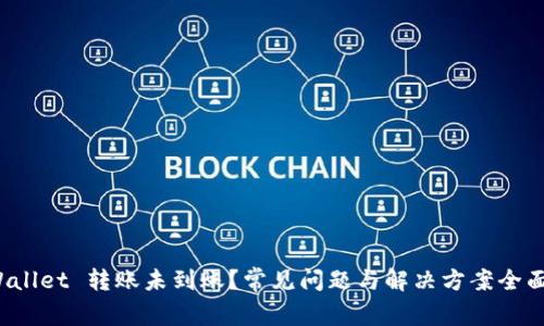 : tpWallet 转账未到账？常见问题与解决方案全面解析！