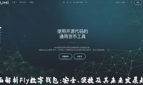 
全面解析Fly数字钱包：安全、便捷及其未来发展趋势