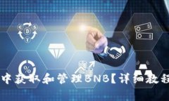 如何在tpWallet中获取和管理BNB？详细教程与常见问