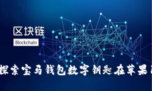 掌控未来：探索宝马钱包数字钥匙在苹果14上的应用