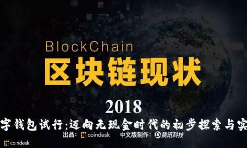 数字钱包试行：迈向无现金时代的初步探索与实践