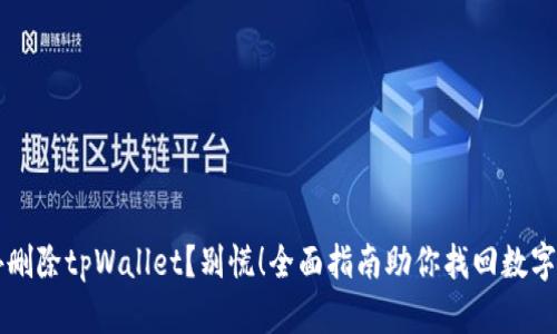 意外删除tpWallet？别慌！全面指南助你找回数字资产