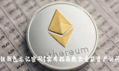 区块链钱包忘记密码？实用指南教你重获资产访