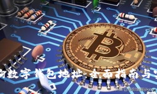 如何查询数字钱包地址：全面指南与实用技巧