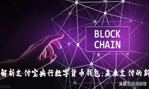 全面解析支付宝央行数字货币钱包：未来支付的新纪元