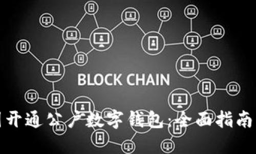 如何在中国开通公户数字钱包：全面指南与实操技巧
