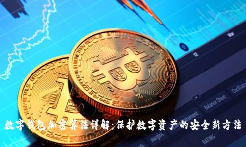 数字钱包加密算法详解：保护数字资产的安全新方法