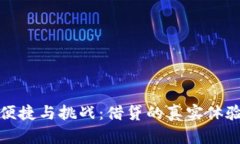 数字钱包的便捷与挑战：借贷的真实体验与深入