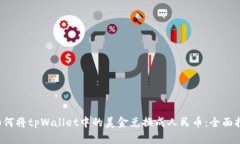  如何将tpWallet中的美金兑换成人民币：全面指南
