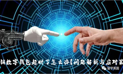 注销数字钱包超时了怎么办？问题解析与应对策略