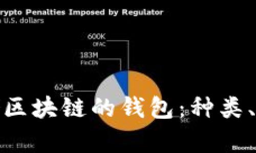 全面解析存储区块链的钱包：种类、功能及安全性