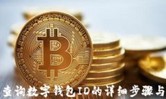 如何查询数字钱包ID的详细步骤与技巧