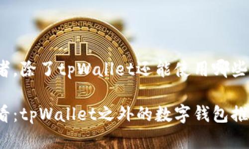 对于区块链爱好者，除了tpWallet还能使用哪些优秀的数字钱包？

区块链爱好者必看：tpWallet之外的数字钱包推荐