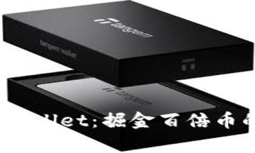  深入解析tpWallet：掘金百倍币的潜力与风险