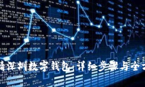 如何申请深圳数字钱包：详细步骤与全方位指南