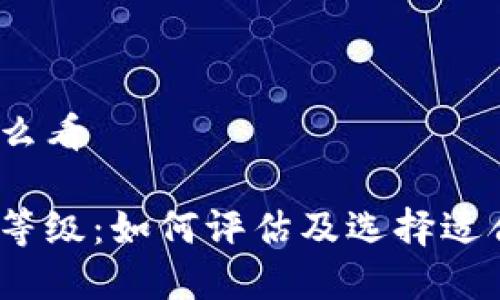 数字钱包几级怎么看

数字钱包的安全等级：如何评估及选择适合你的数字钱包？