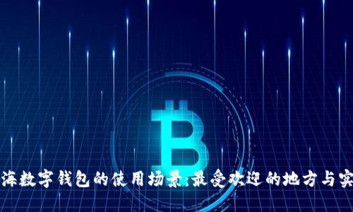 揭秘上海数字钱包的使用场景：最受欢迎的地方与实用指南