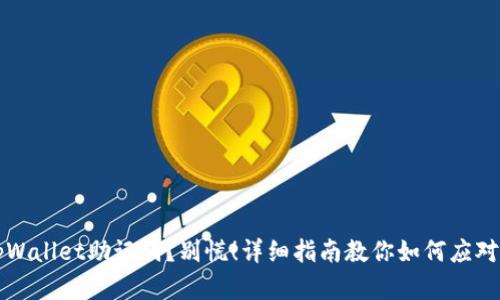 丢失tpWallet助记词？别慌！详细指南教你如何应对和恢复