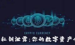   tpWallet私钥泄露：你的数字资产会被盗吗？