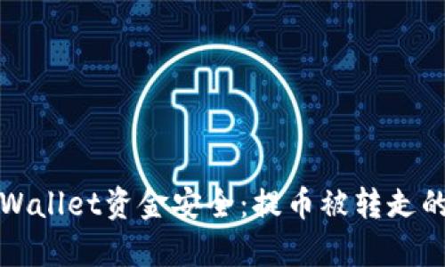 如何确保你的tpWallet资金安全：提币被转走的原因及解决方案