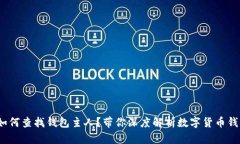 tpWallet：如何查找钱包主人？带你深度解析数字货
