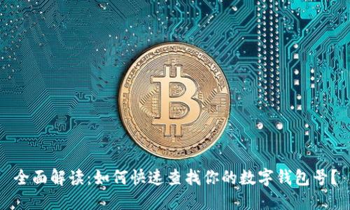 全面解读：如何快速查找你的数字钱包号？