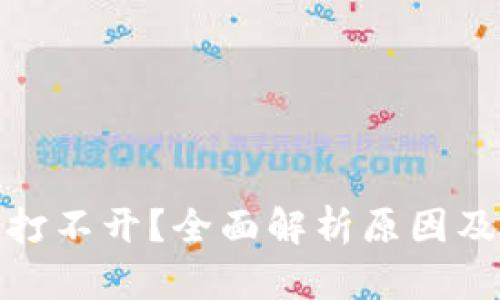 数字钱包打不开？全面解析原因及解决方案