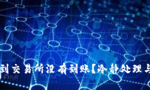 从tpWallet提币到交易所没有到账？冷静处理与解决方案全指南