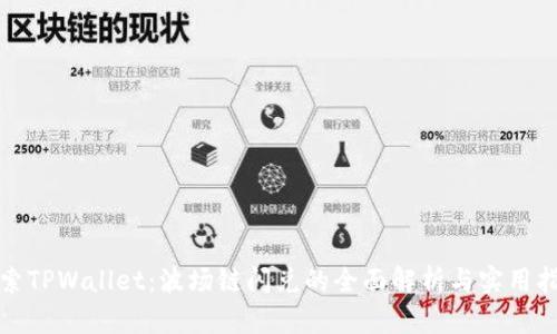 探索TPWallet：波场链闪兑的全面解析与实用指南
