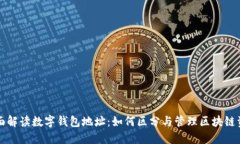 全面解读数字钱包地址：如何区分与管理区块链