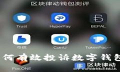全面指南：如何有效投诉数字钱包服务提供商