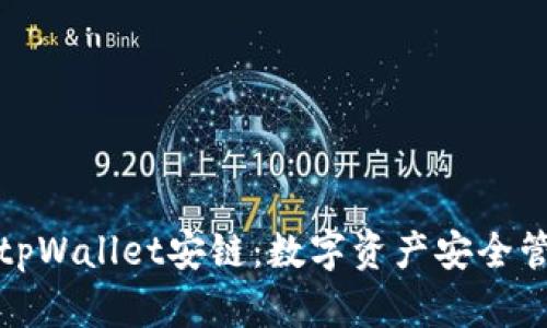 深入解析tpWallet安链：数字资产安全管理新选择