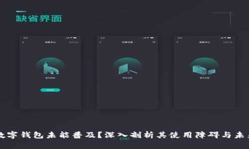 为何数字钱包未能普及？深入剖析其使用障碍与未来发展