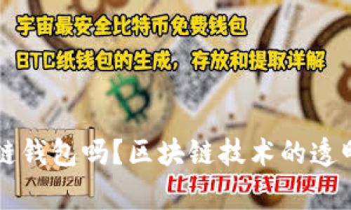警察可以查区块链钱包吗？区块链技术的透明性与隐私性解析