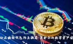 揭秘区块链钱包钓鱼骗局：保护你的数字资产安