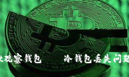 深入分析：tpWallet观察钱包 — 冷钱包丢失问题的原因与解决方案