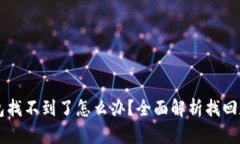 区块链钱包找不到了怎么办？全面解析找回和保