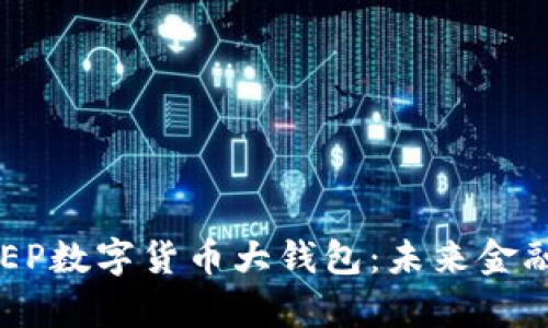 全面解析DCEP数字货币大钱包：未来金融的智能选择