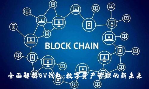 全面解析BV钱包：数字资产管理的新未来